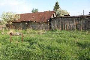 Большое скопино. Скопино Курганская область. Деревня Скопино.